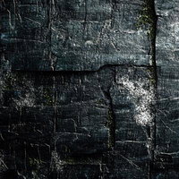 苔生した石壁に浮かぶ暗い色調のテクスチャーの写真