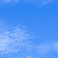 寺社建築の隅鬼（すみおに）と青空の写真