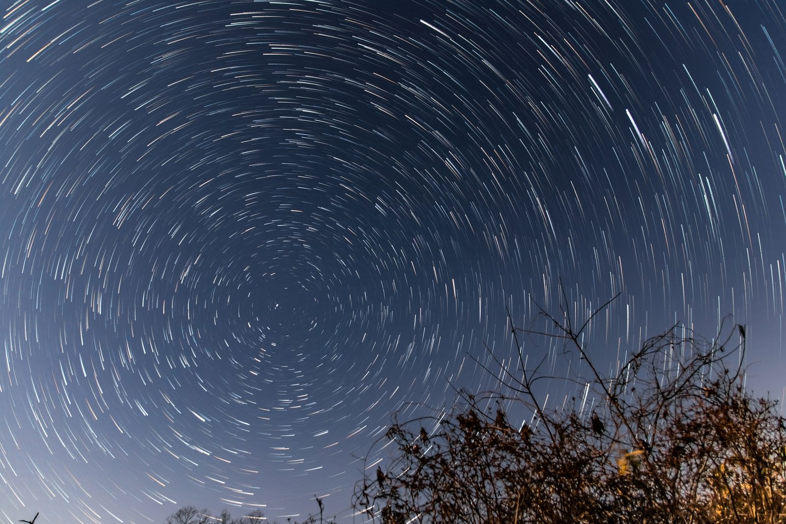 Star trails flowing in concentric circles around the Polaris (Hokkyokusei) with silhouettes of withered branches extending toward the lower right