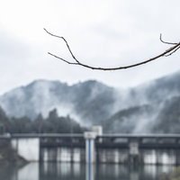 雨上がりのしずくと霧のダムの写真