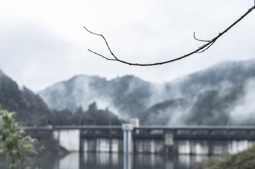 雨上がりの山間に佇む建物と雫