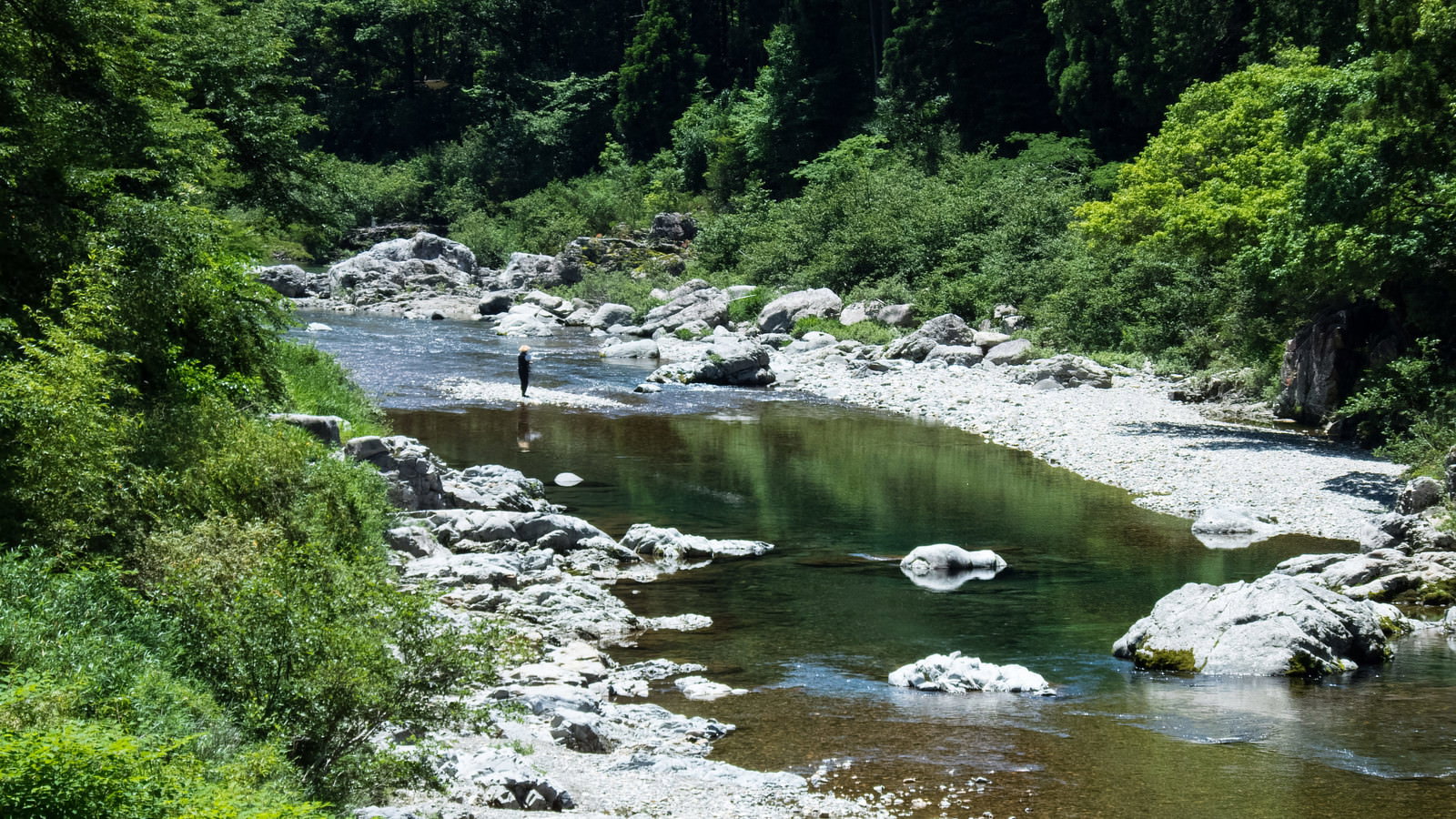 緑豊かな木々に囲まれた板取川の清流風景