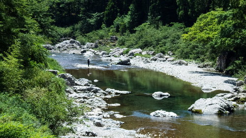 板取川で釣りをする人と清流の風景 岐阜県の自然