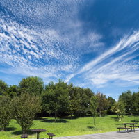 青空に白い雲が流れる公園の木々とベンチの風景の写真