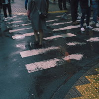 雨上がりの横断歩道を渡る人々の足元、濡れた路面と点字ブロックの写真