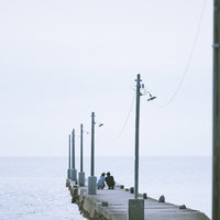 原岡海岸の桟橋で記念撮影するカップルと海景色の写真