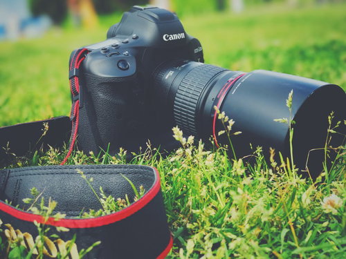 緑の野原に置かれたフラッグシップ一眼レフカメラ