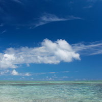 晴れた日の透き通る浅瀬の海と青空の写真