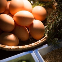 栄太郎の新鮮なたまごを薬味と一緒に盛り合わせた朝食の食材の写真