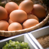 栄太郎の生たまご食べ放題で楽しむ朝食の誘惑の写真