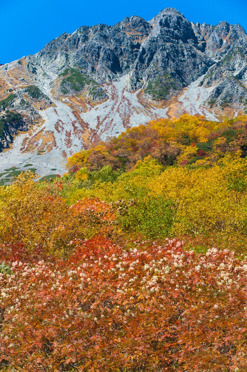 岩肌の山々を背景に赤や黄色の紅葉が広がる涸沢カール