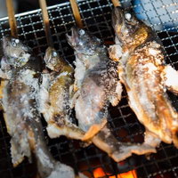 平湯温泉の地元の集いで炭火焼きされる岩魚の写真