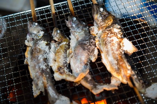 平湯温泉の地元の集いで炭火焼きされる岩魚