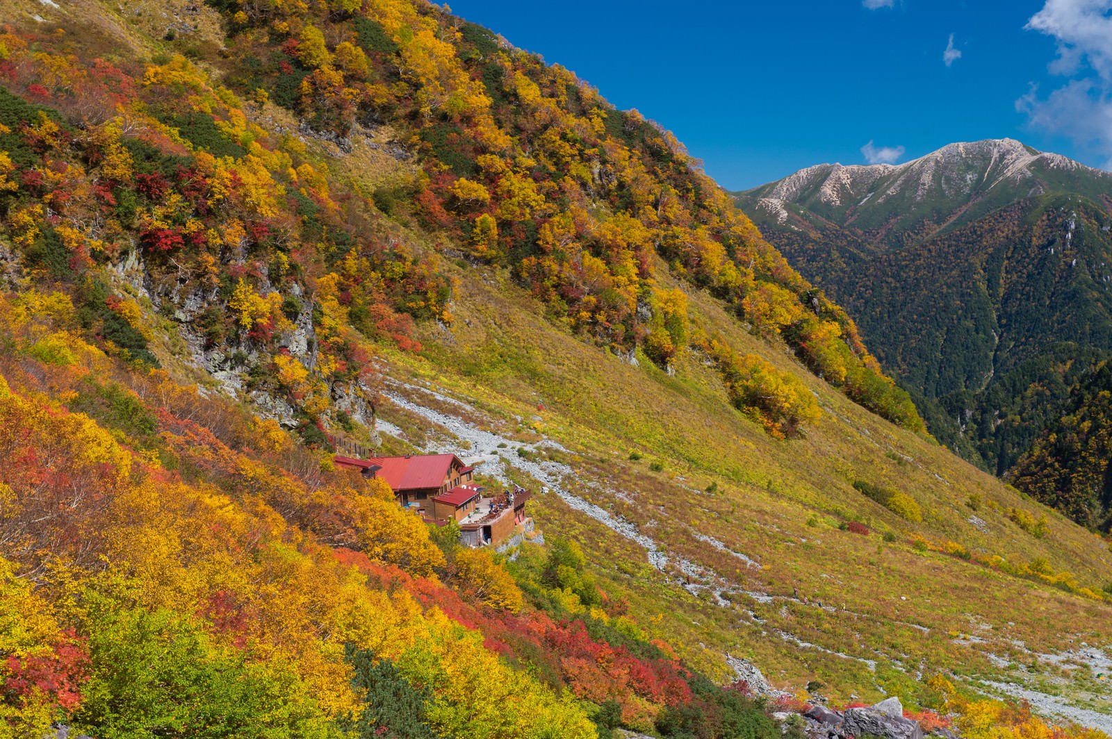 涸沢カールの秋の紅葉と雪をかぶった北アルプスの峰