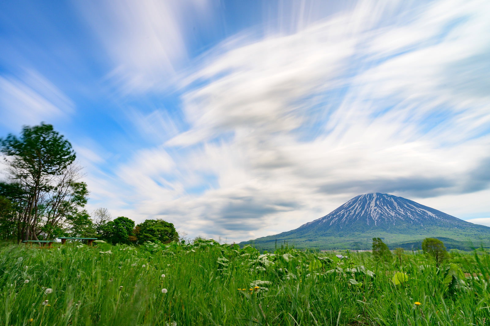 緑の草原越しに見える円錐形の後方羊蹄山と青空