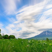 北海道の活火山・後方羊蹄山を草原から望む景色の写真