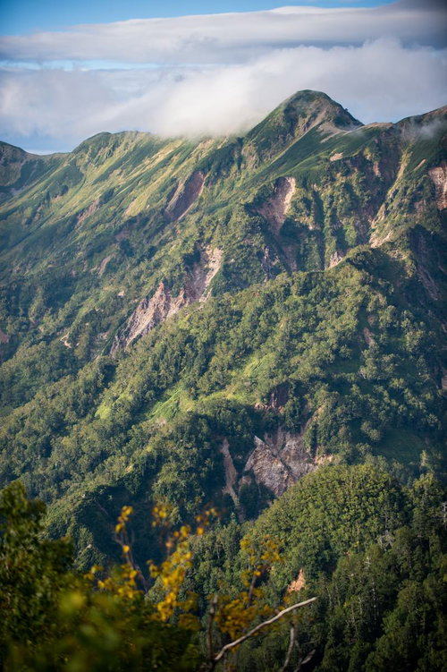 平湯温泉の北アルプス稜線と新緑の風景、登山ハイキングコース