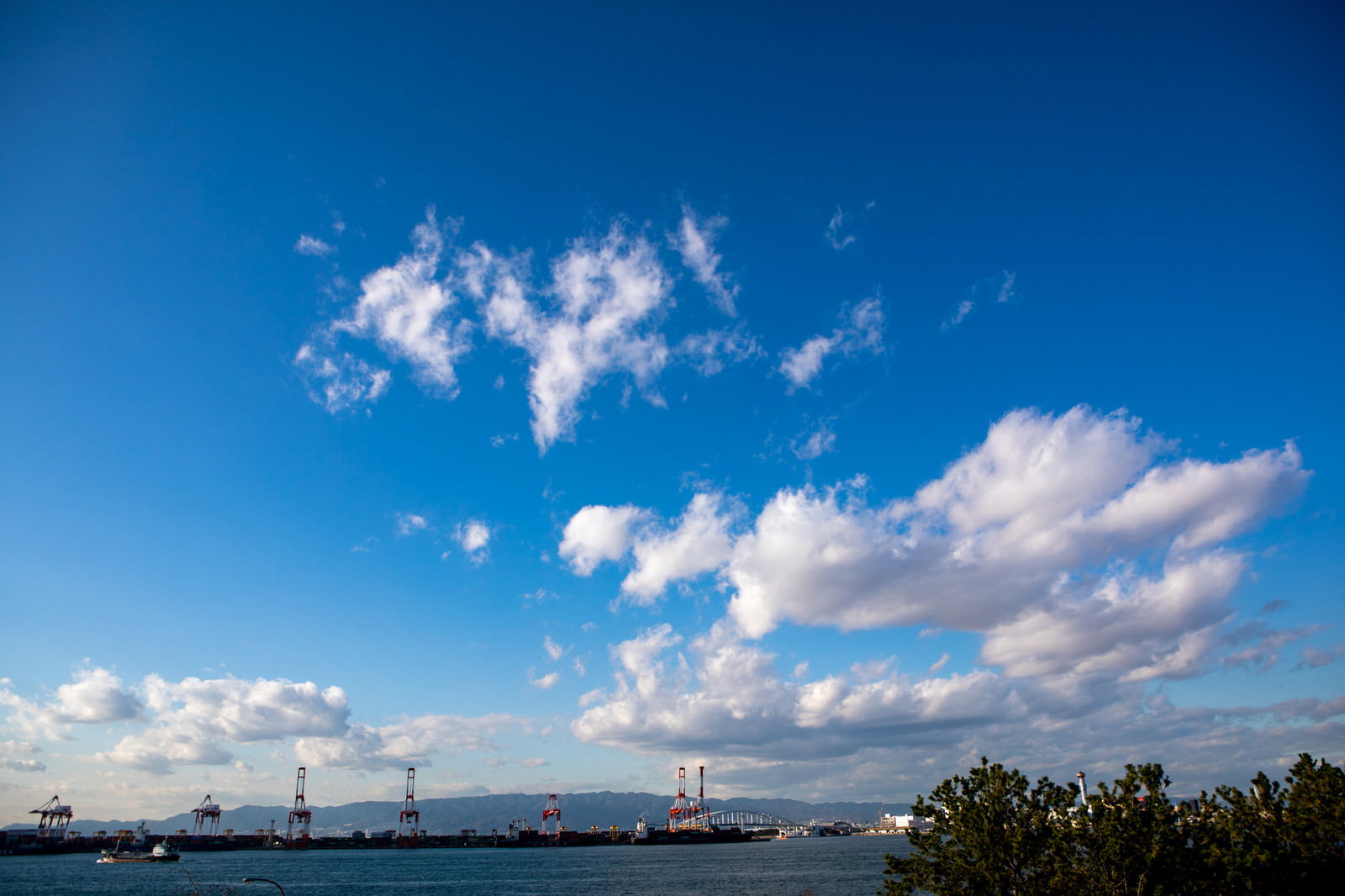 青い空に白い雲が浮かび、海沿いに工場やコンビナートが見える風景