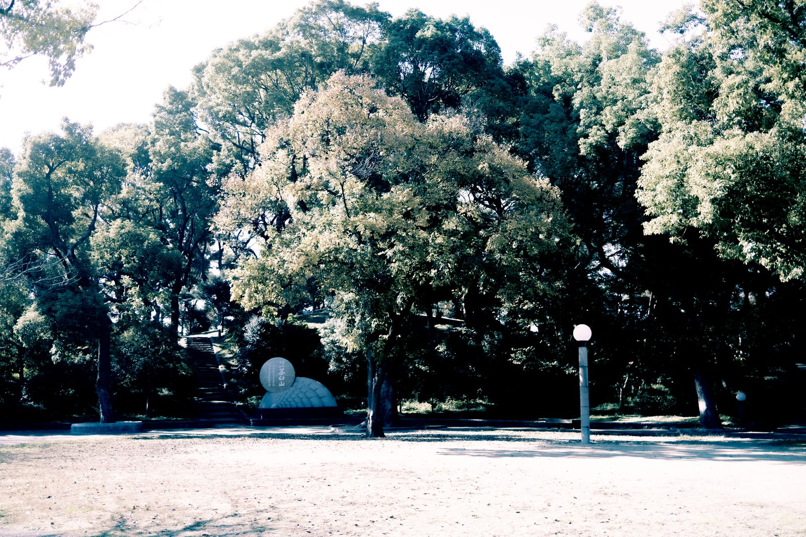 緑豊かな木々に囲まれた公園の広場