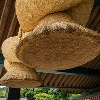 出雲大社の神楽殿に吊るされた大しめ縄を下から見上げた景観の写真