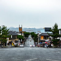 雨の日の森に囲まれた神社本殿と石段の写真