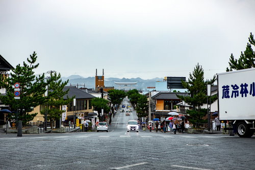雨の日の森に囲まれた神社本殿と石段