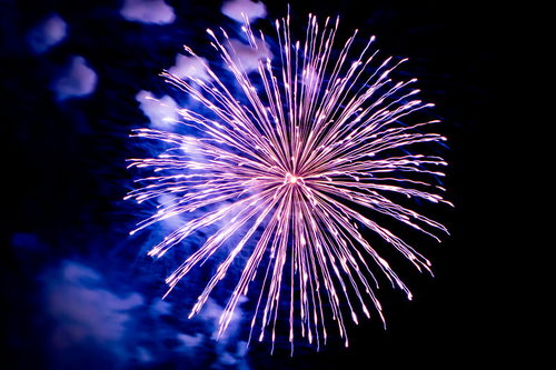 夜空に丸く打ち上がる紫とピンクの花火
