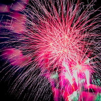 夜空いっぱいに炸裂するピンク紫の打ち上げ花火の写真