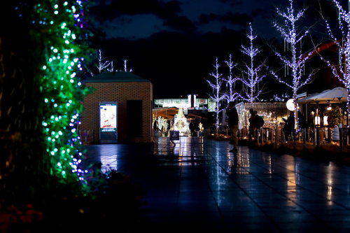 濡れた歩道に反射する緑色のイルミネーション