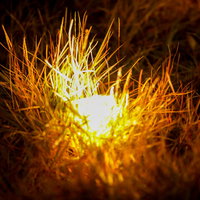 地面に設置された電球色のネオンライト照明の配線と電源部分の写真