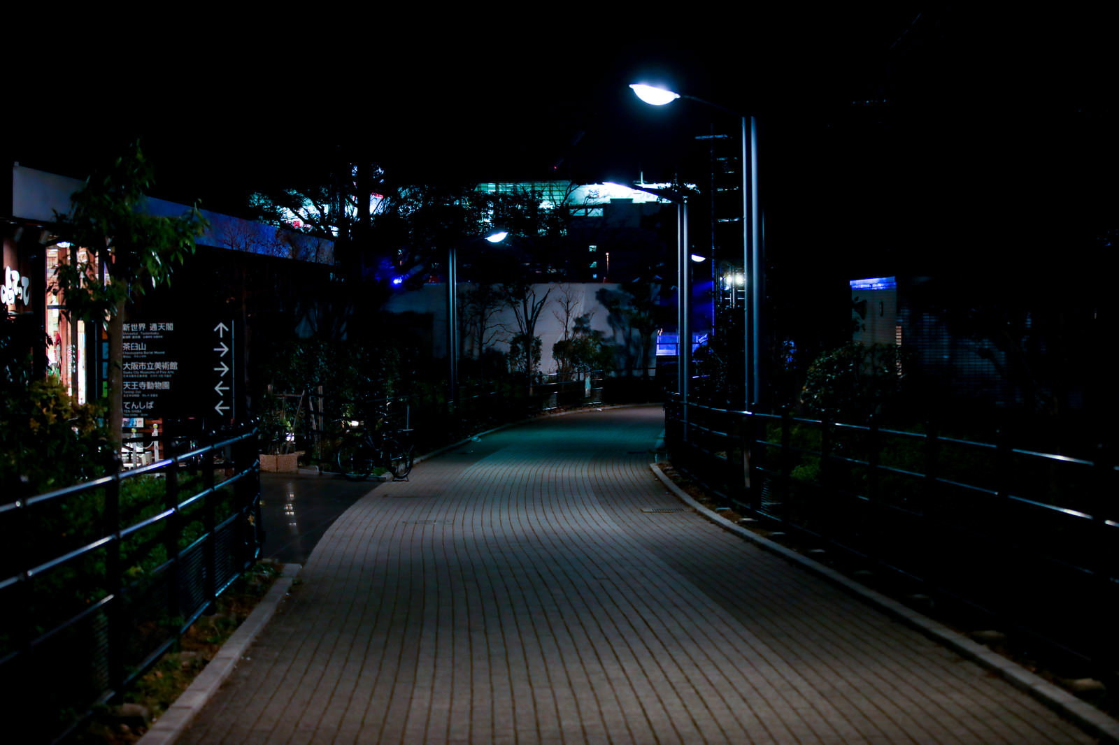 街灯に照らされた深夜の薄暗い歩道