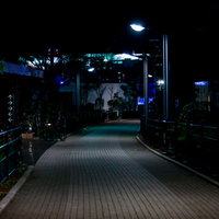 街灯に照らされた深夜の歩道の写真