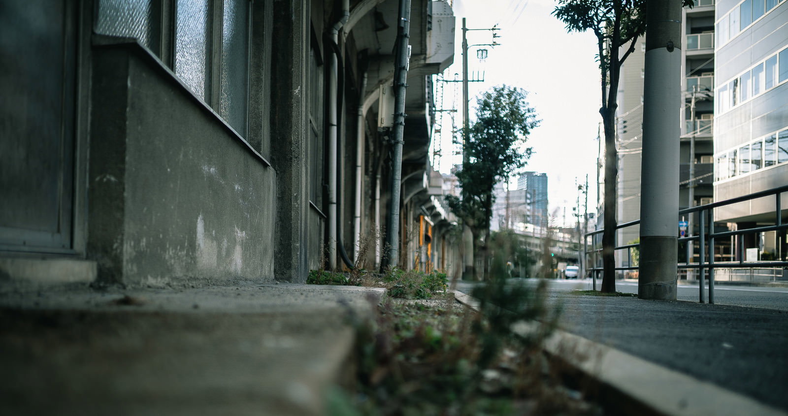 高架下のコンクリート構造物の下に店舗が並び、歩道に街路樹がある都市の風景
