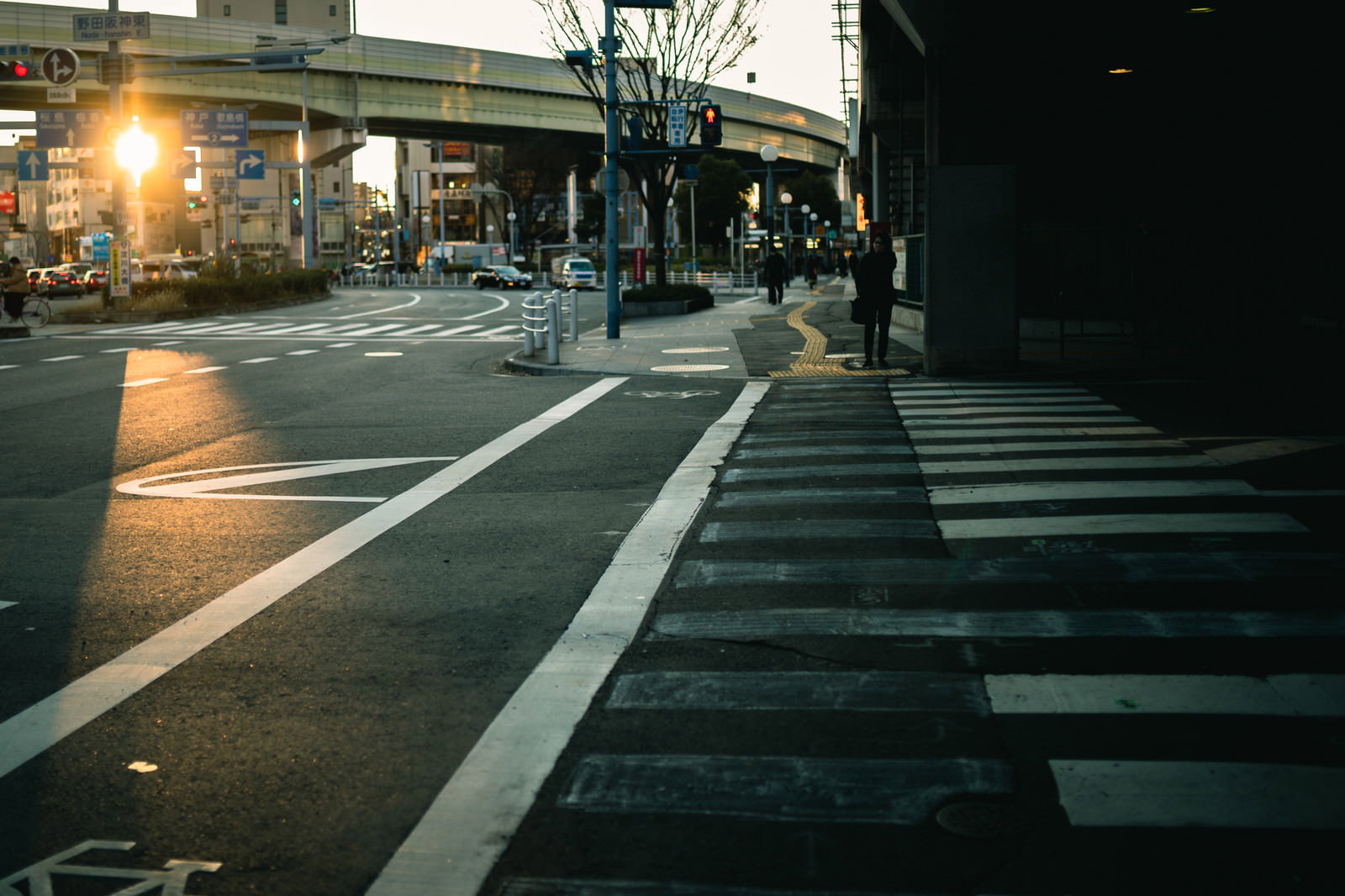 夕方の光に照らされた横断歩道と道路標示