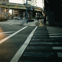 夕刻の道路に引かれた横断歩道と止まれ標識の写真