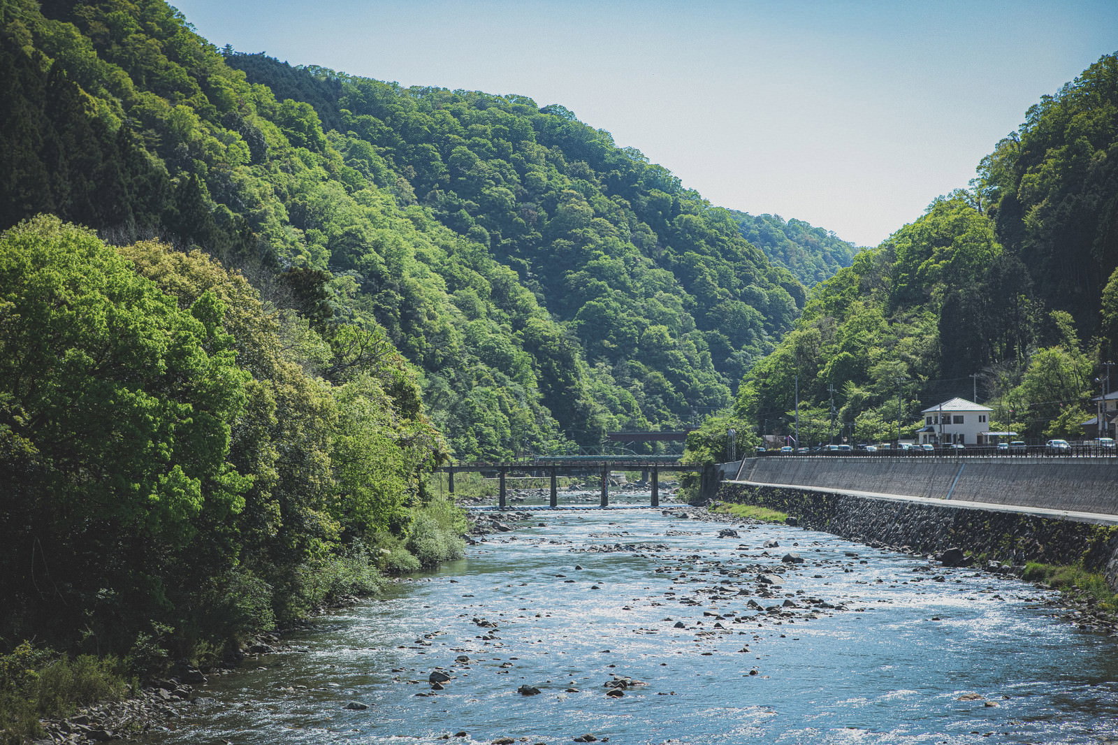 緑豊かな山々に囲まれた清流に架かる橋の風景