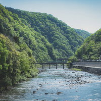 山沿いの清流に架かる橋と新緑の渓谷風景の写真