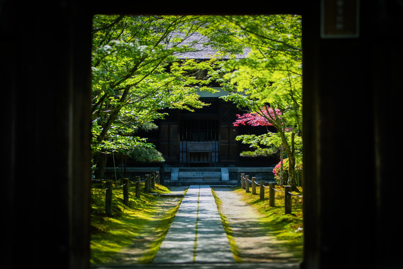 緑に囲まれた酬恩庵一休寺の石畳の参道と奥に見える門