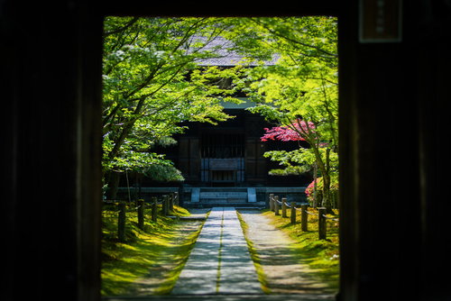 酬恩庵一休寺の参道を彩る新緑と石畳の門前風景