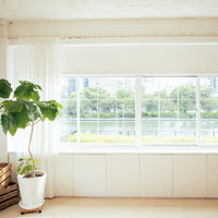 白い壁の窓際に置かれた観葉植物とモデルルームの風景の写真