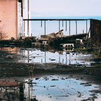 海が見える倒壊した廃墟と足元の水たまりの写真