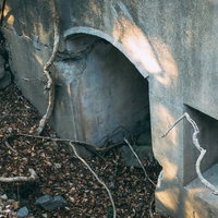 枯れ果てた下水管に絡みつく蔦がある廃墟の風化した光景の写真
