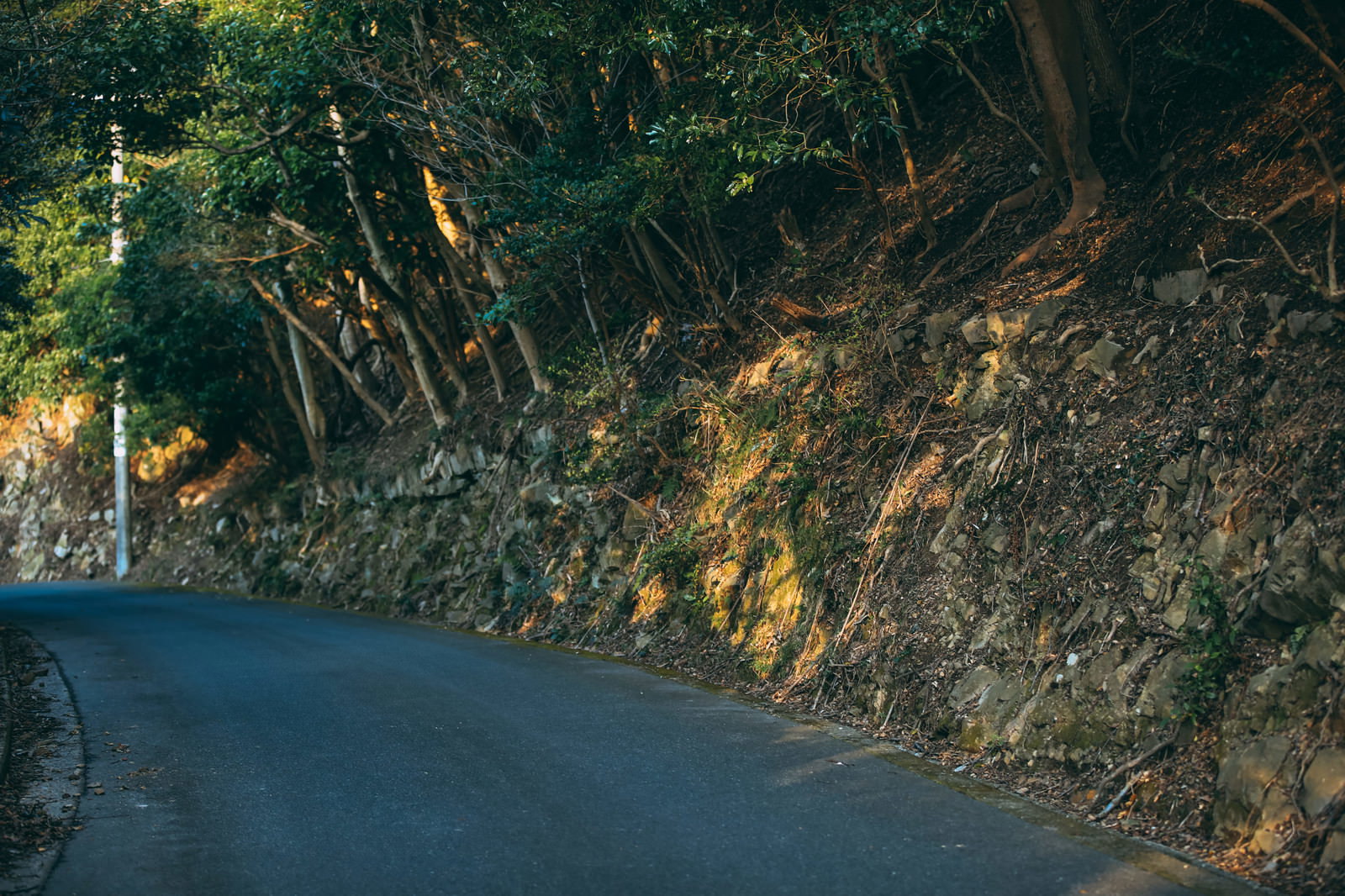 山道のカーブで、アスファルトの先に土砂や岩肌の露出した山肌が見える風景