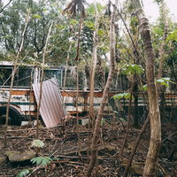 打ち捨てられ落書き天国となった廃車バス｜雑木林に放置された朽ちた車両の写真