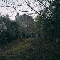 木々に隠された廃墟の古い建物と朽ちた窓枠の写真