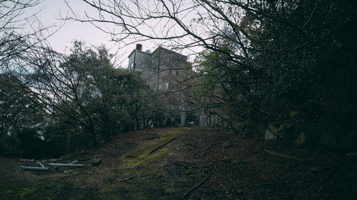 木々に隠された廃墟の古い建物と朽ちた窓枠