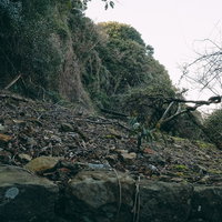 瓦礫に覆われた山肌と背景の森、土砂崩落の跡の写真