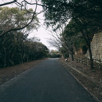 林道と塀に挟まれた薄暗いアスファルトの車道の写真