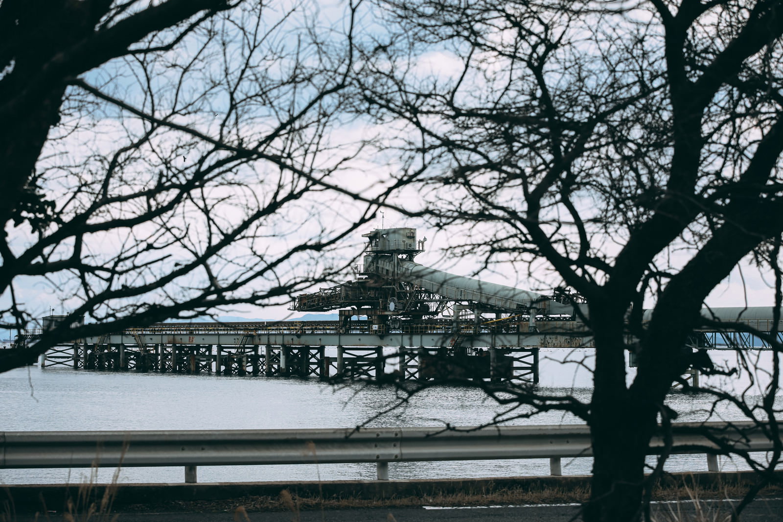 木の枝越しに見える海上の工場施設