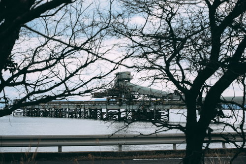 木枝の隙間から見た海上の工場施設と産業風景